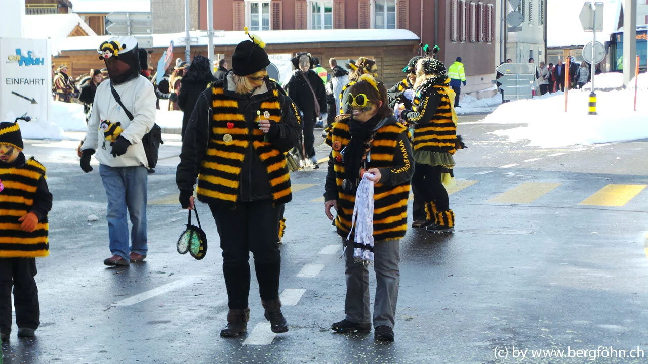 Fasnachtsumzug_Aegeri_2013_101.jpg