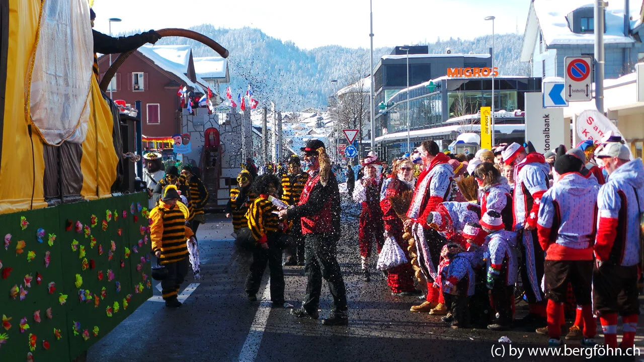 Fasnachtsumzug_Aegeri_2013_102.jpg