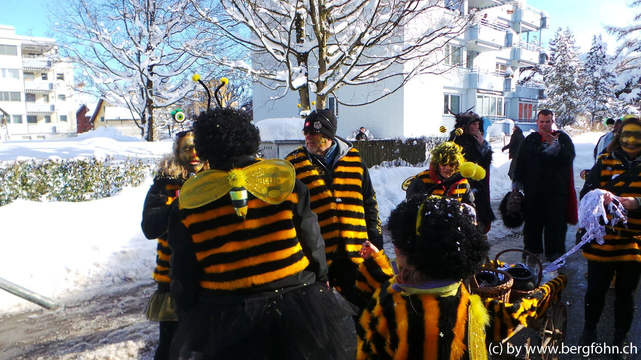 Fasnachtsumzug_Aegeri_2013_110.jpg