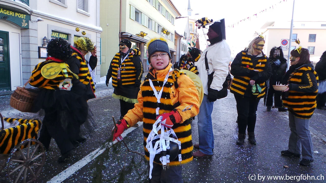 Fasnachtsumzug_Aegeri_2013_111.jpg