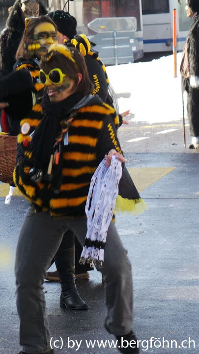 Fasnachtsumzug_Aegeri_2013_113.jpg