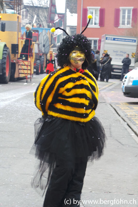 Fasnachtsumzug_Waedenswil_2013_002.jpg