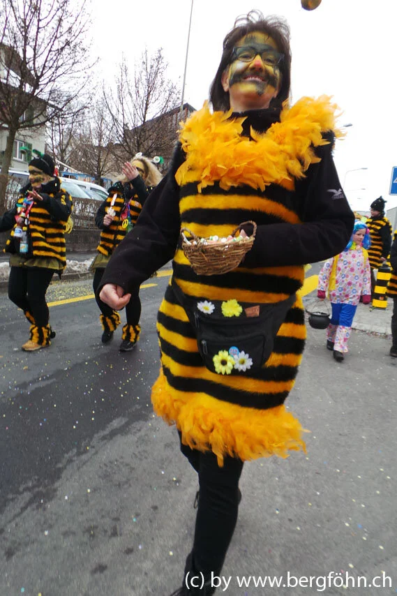 Fasnachtsumzug_Waedenswil_2013_003.jpg