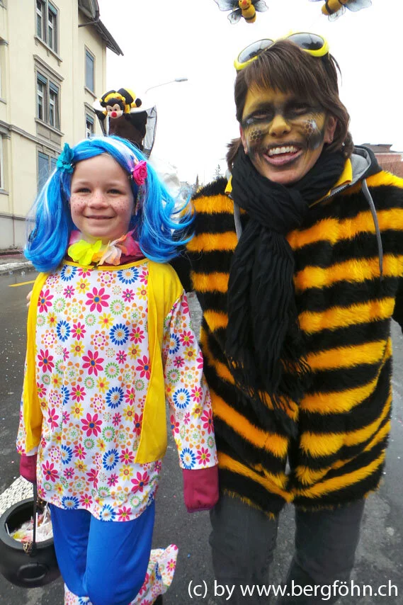 Fasnachtsumzug_Waedenswil_2013_014.jpg