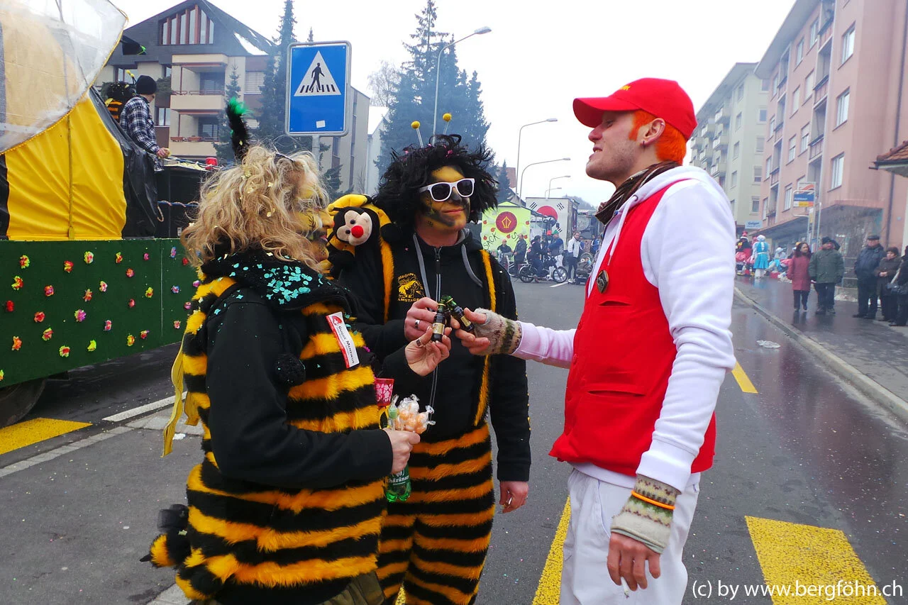 Fasnachtsumzug_Waedenswil_2013_011.jpg