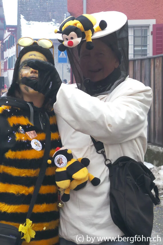 Fasnachtsumzug_Waedenswil_2013_013.jpg