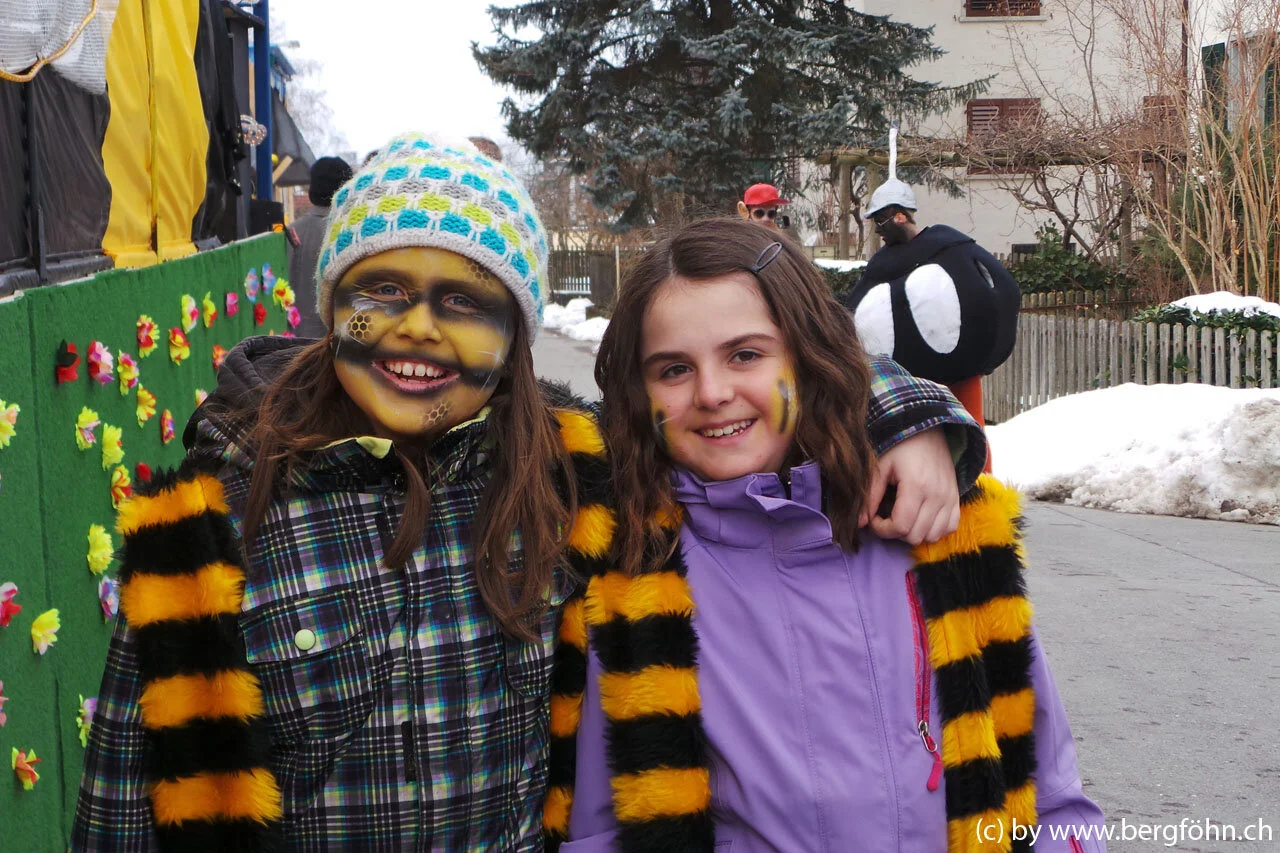 Fasnachtsumzug_Waedenswil_2013_017.jpg