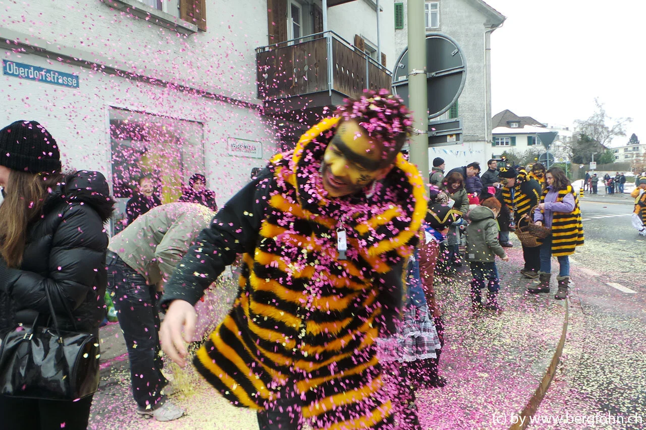 Fasnachtsumzug_Waedenswil_2013_018.jpg