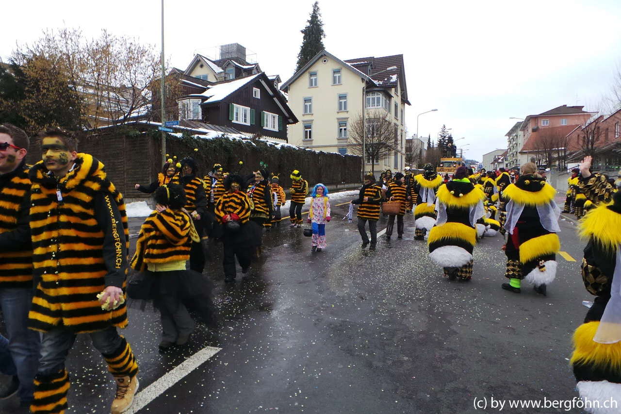 Fasnachtsumzug_Waedenswil_2013_024.jpg