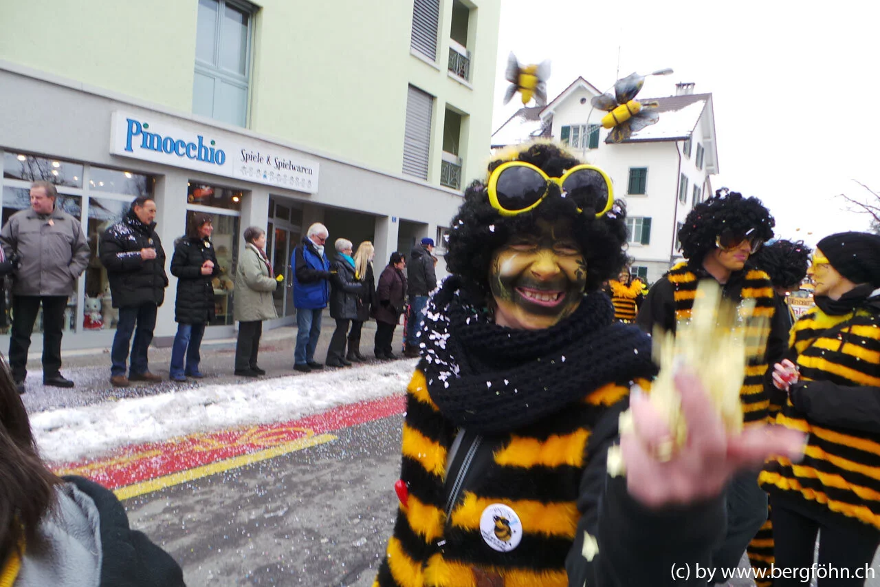 Fasnachtsumzug_Waedenswil_2013_023.jpg