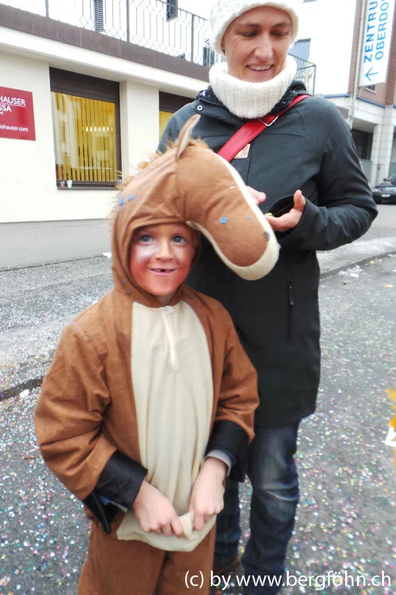 Fasnachtsumzug_Waedenswil_2013_027.jpg