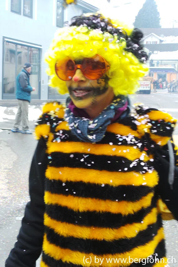 Fasnachtsumzug_Waedenswil_2013_026.jpg