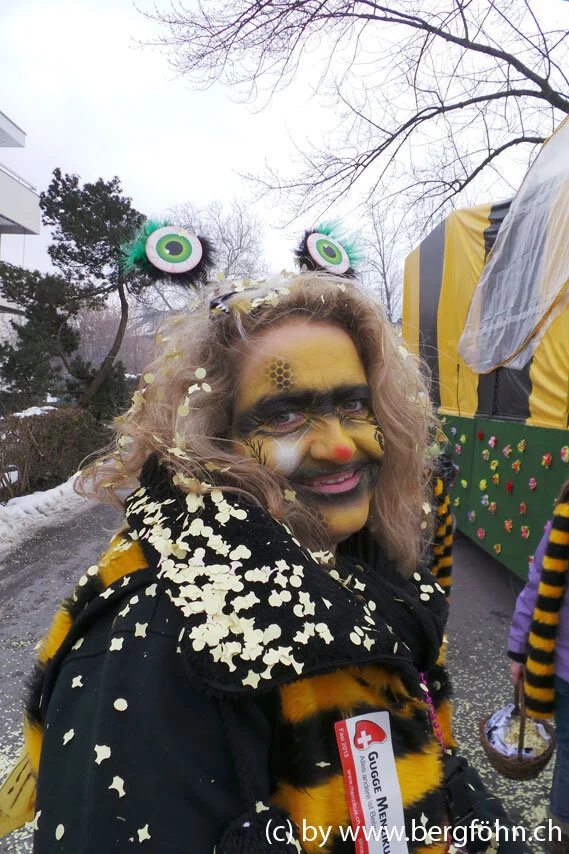 Fasnachtsumzug_Waedenswil_2013_030.jpg