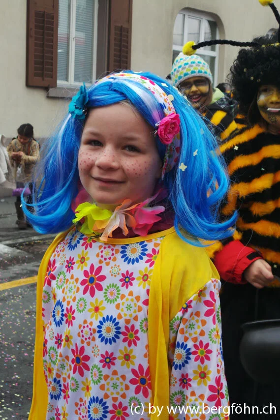 Fasnachtsumzug_Waedenswil_2013_031.jpg