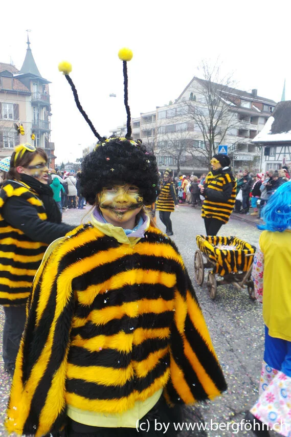 Fasnachtsumzug_Waedenswil_2013_034.jpg