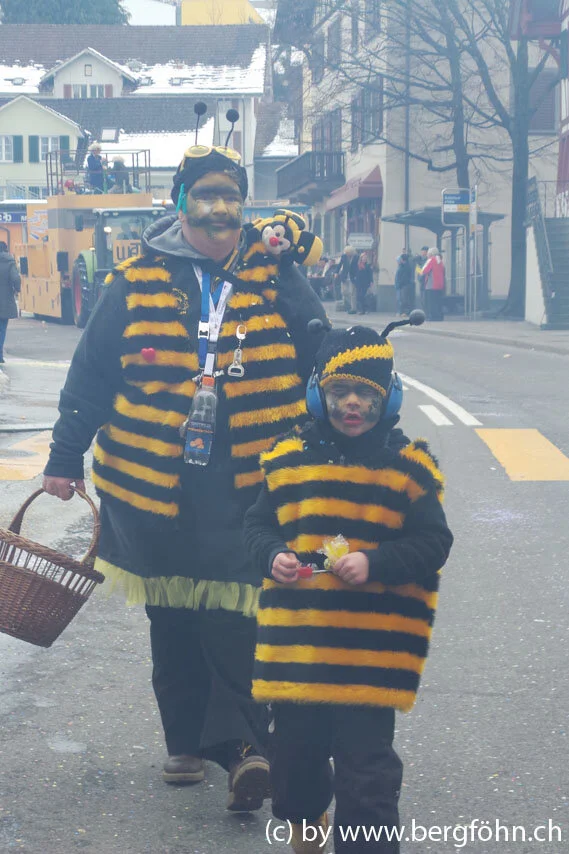 Fasnachtsumzug_Waedenswil_2013_038.jpg