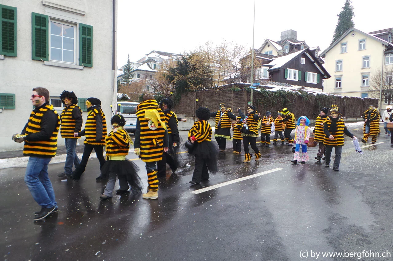Fasnachtsumzug_Waedenswil_2013_037.jpg