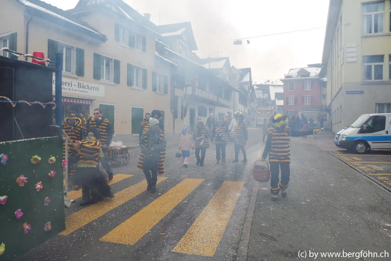 Fasnachtsumzug_Waedenswil_2013_035.jpg