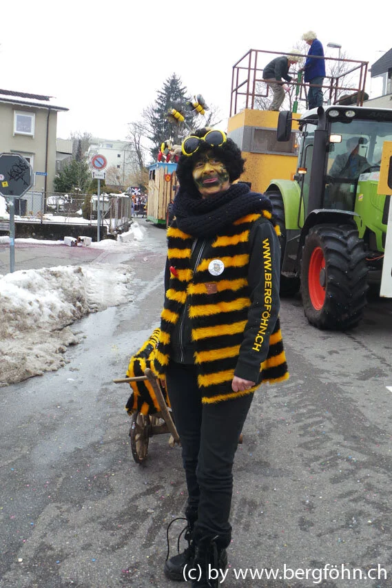 Fasnachtsumzug_Waedenswil_2013_040.jpg