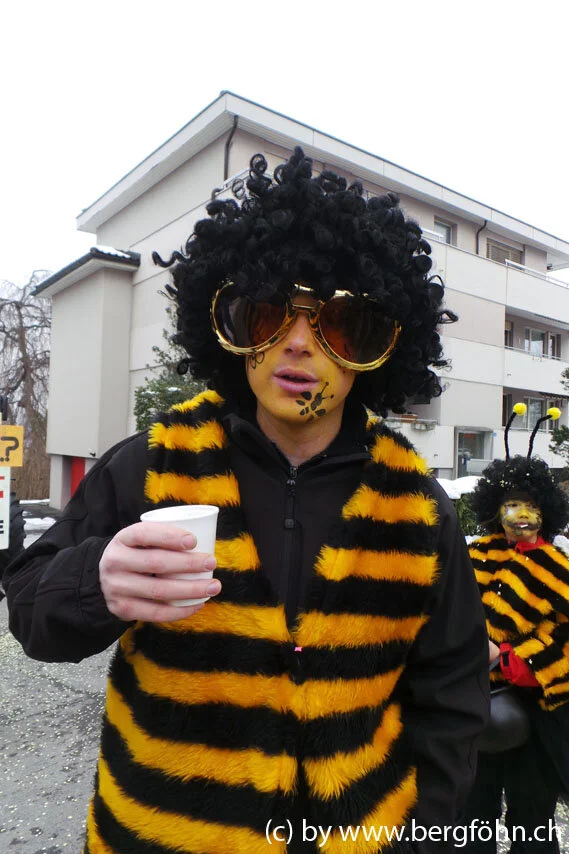 Fasnachtsumzug_Waedenswil_2013_043.jpg