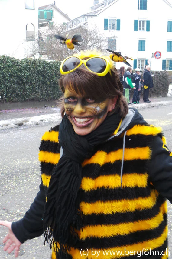 Fasnachtsumzug_Waedenswil_2013_044.jpg