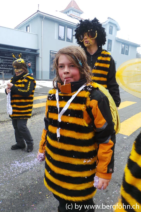 Fasnachtsumzug_Waedenswil_2013_046.jpg