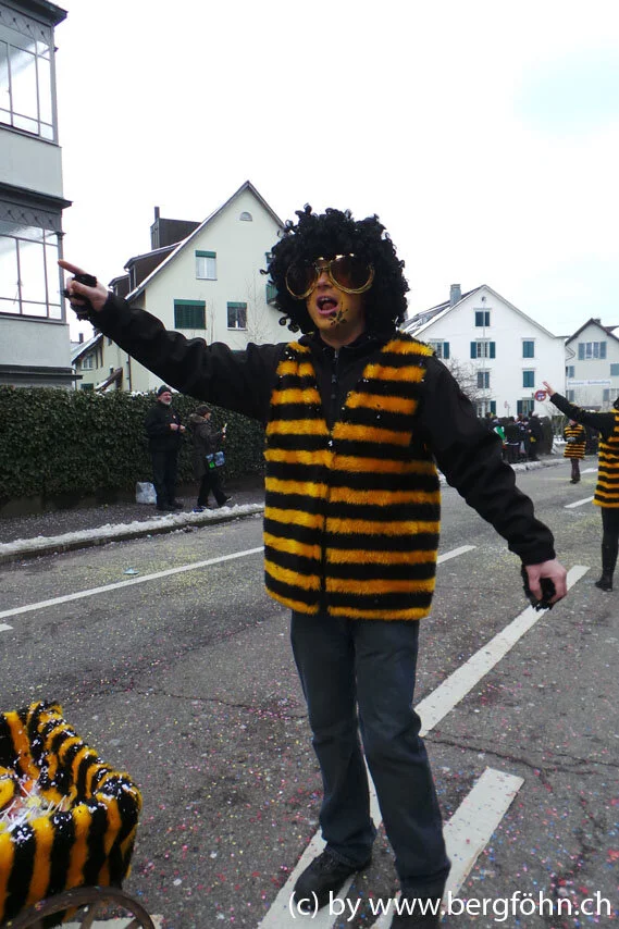 Fasnachtsumzug_Waedenswil_2013_048.jpg