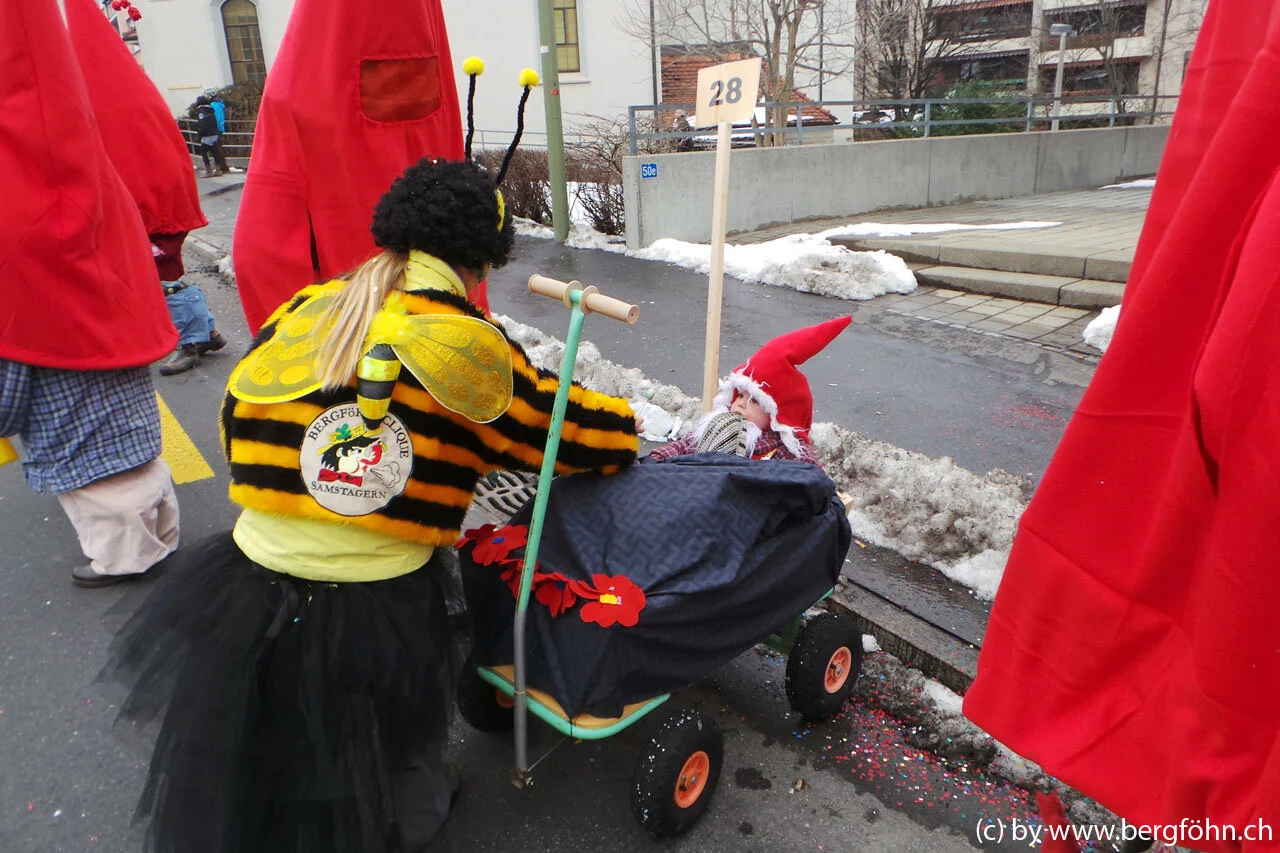 Fasnachtsumzug_Waedenswil_2013_049.jpg