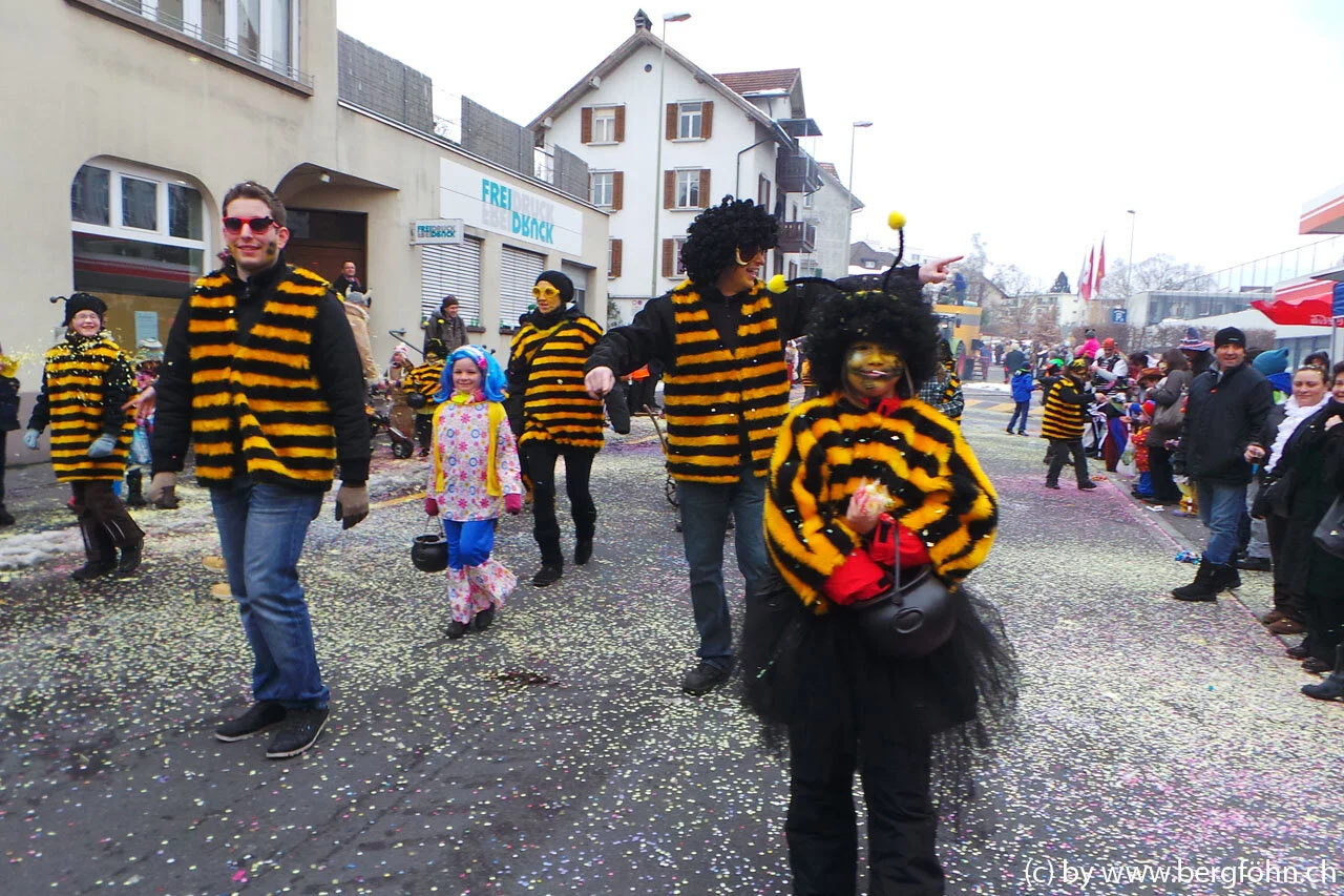 Fasnachtsumzug_Waedenswil_2013_052.jpg