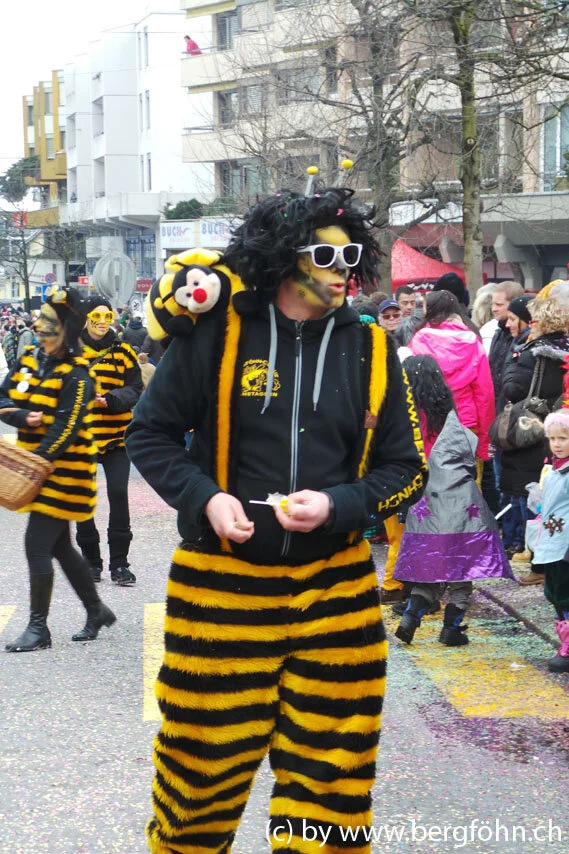 Fasnachtsumzug_Waedenswil_2013_059.jpg