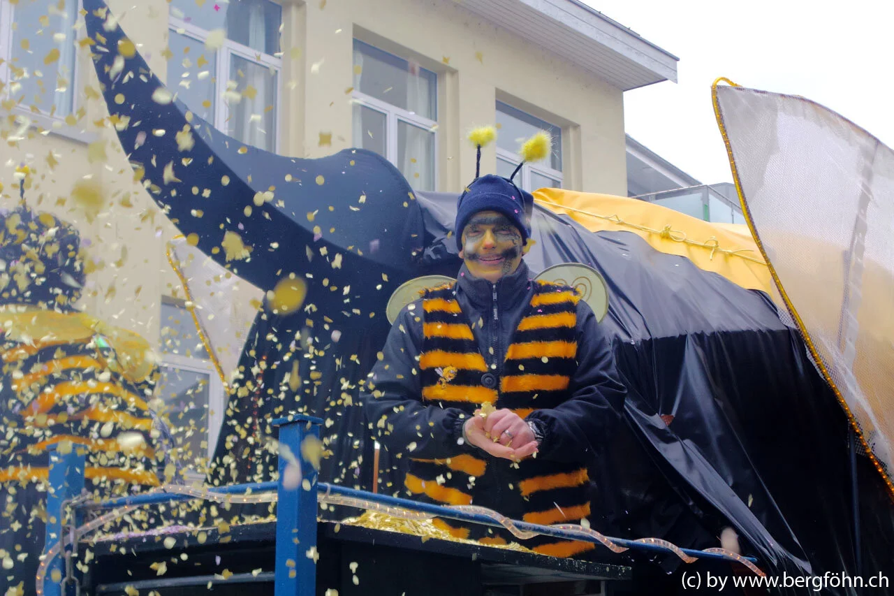 Fasnachtsumzug_Waedenswil_2013_066.jpg