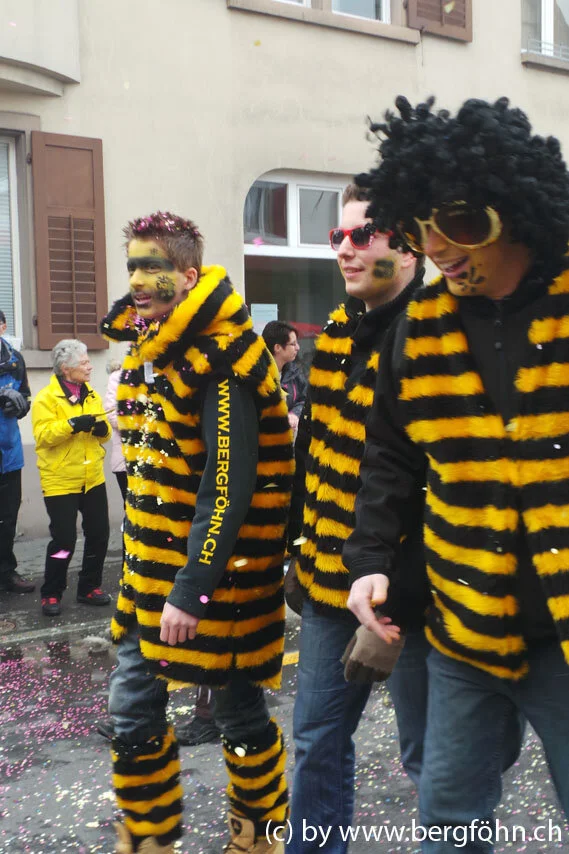 Fasnachtsumzug_Waedenswil_2013_068.jpg