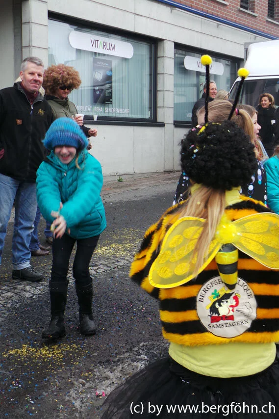 Fasnachtsumzug_Waedenswil_2013_069.jpg