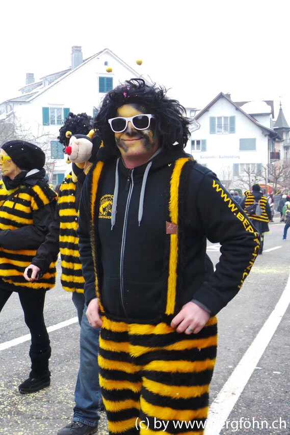 Fasnachtsumzug_Waedenswil_2013_071.jpg