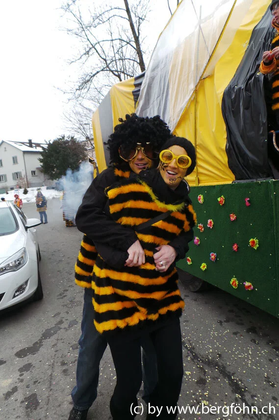 Fasnachtsumzug_Waedenswil_2013_074.jpg