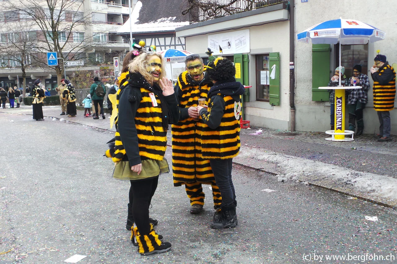 Fasnachtsumzug_Waedenswil_2013_075.jpg