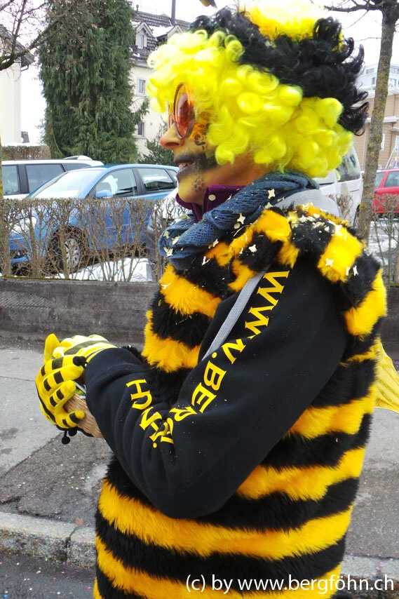 Fasnachtsumzug_Waedenswil_2013_082.jpg