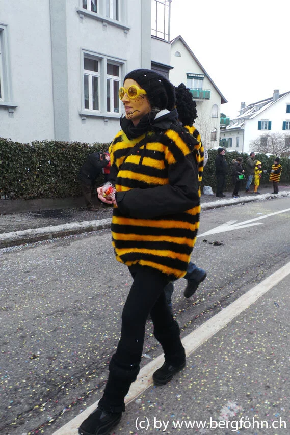 Fasnachtsumzug_Waedenswil_2013_084.jpg
