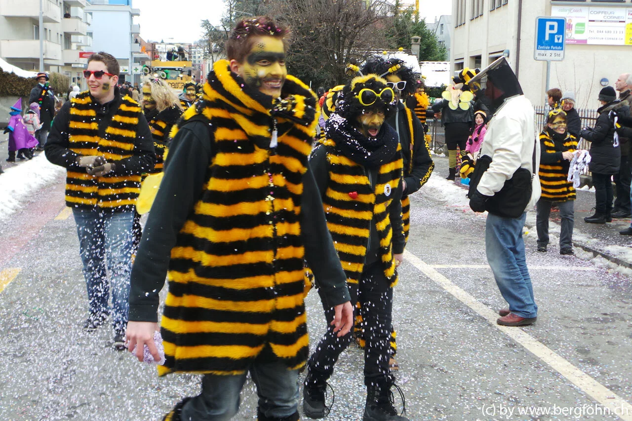 Fasnachtsumzug_Waedenswil_2013_080.jpg