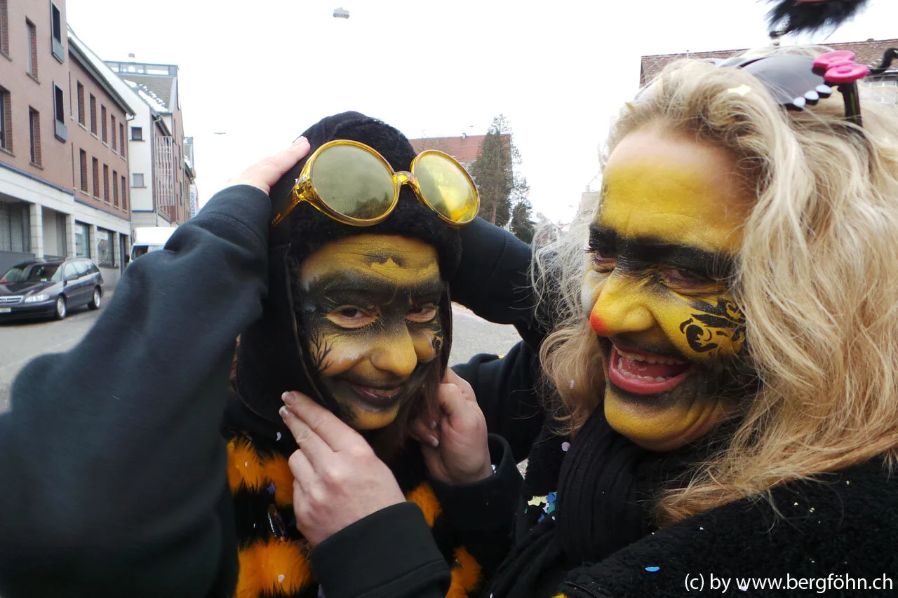 Fasnachtsumzug_Waedenswil_2013_086.jpg