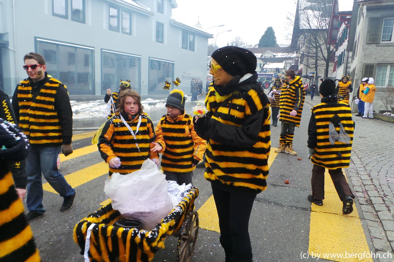 Fasnachtsumzug_Waedenswil_2013_088.jpg