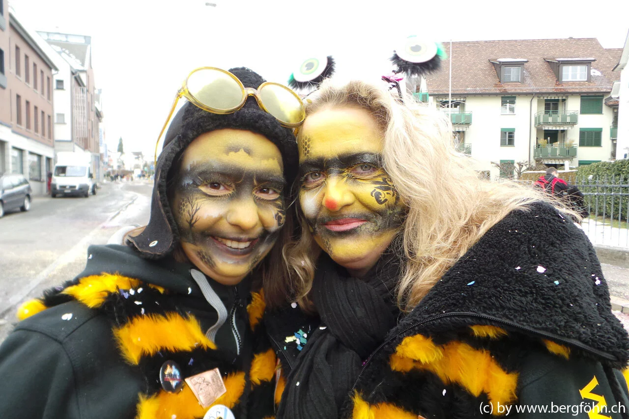 Fasnachtsumzug_Waedenswil_2013_089.jpg