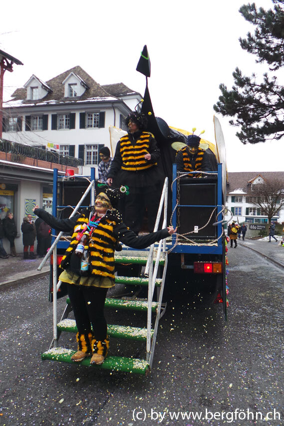 Fasnachtsumzug_Waedenswil_2013_096.jpg