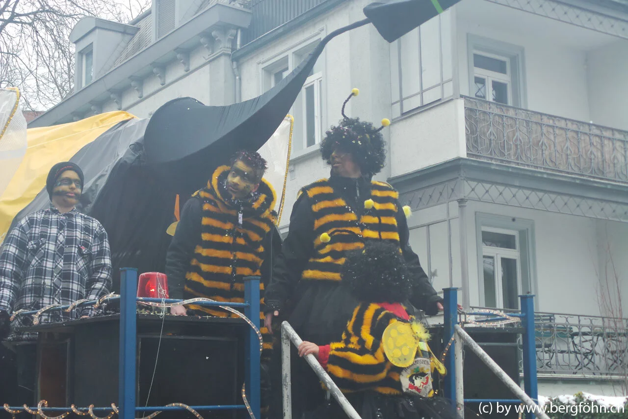 Fasnachtsumzug_Waedenswil_2013_092.jpg