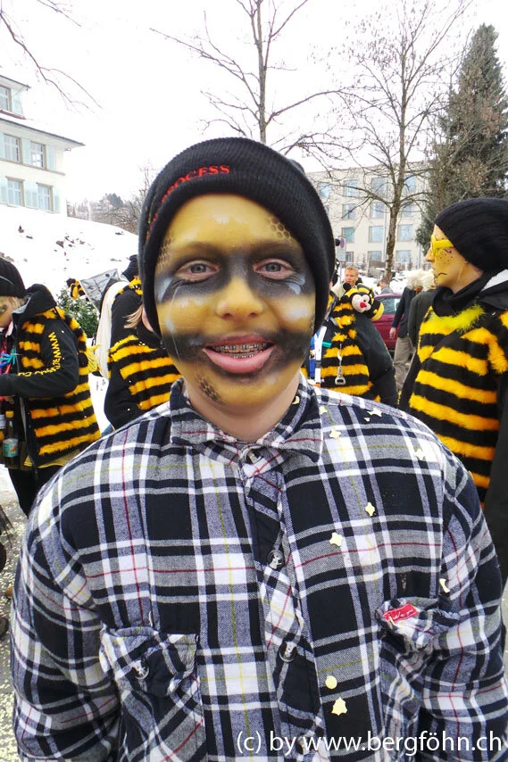 Fasnachtsumzug_Waedenswil_2013_113.jpg