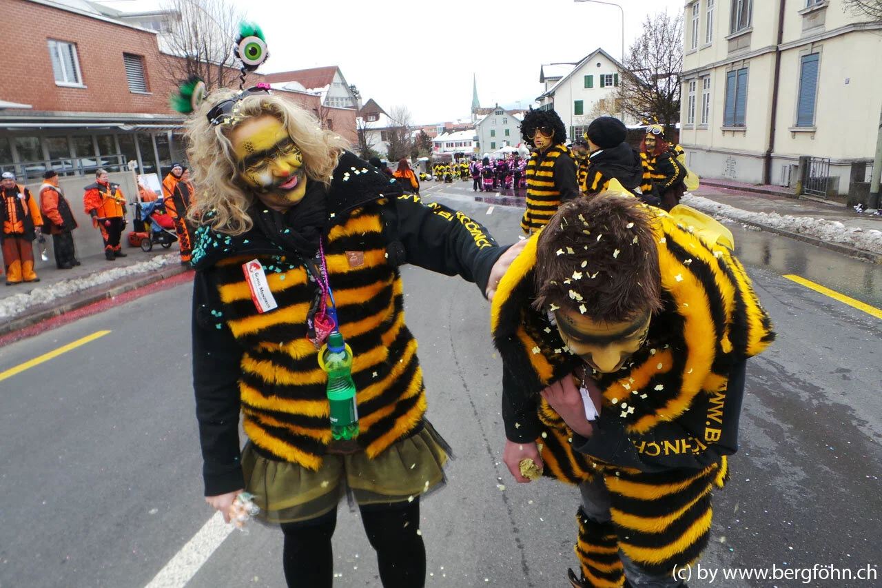 Fasnachtsumzug_Waedenswil_2013_110.jpg