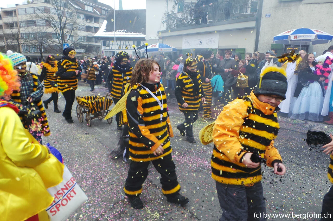 Fasnachtsumzug_Waedenswil_2013_055.jpg