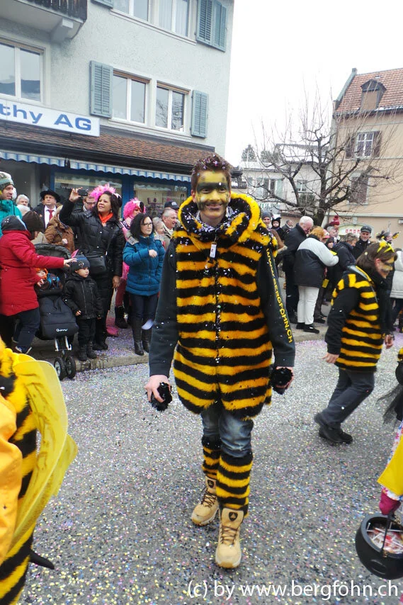Fasnachtsumzug_Waedenswil_2013_106.jpg