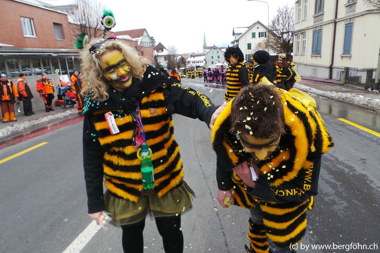 Fasnachtsumzug_Waedenswil_2013_110.jpg