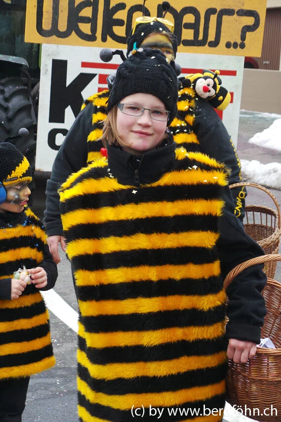 Fasnachtsumzug_Waedenswil_2013_112.jpg